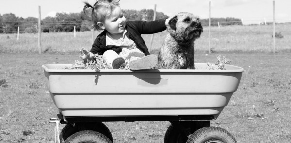 Little girl with her border terrier