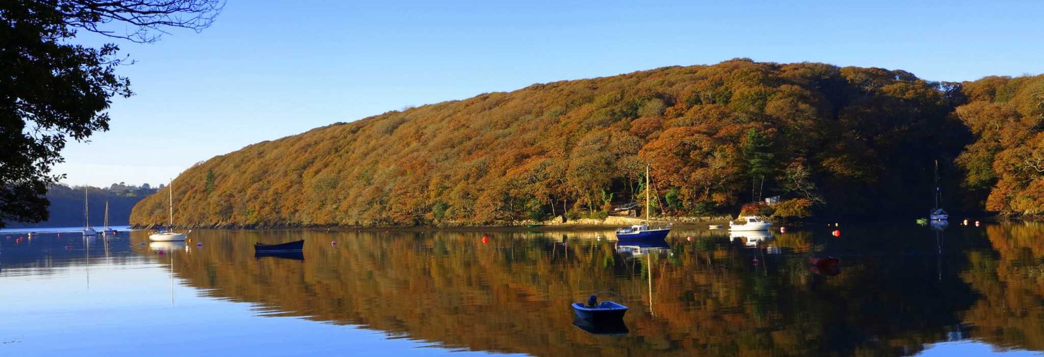 View from Budock Vean, a dog friendly hotel in Cornwall