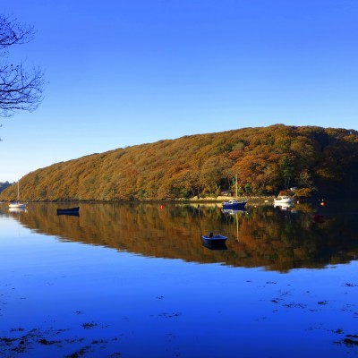 View from Budock Vean, a dog friendly hotel in Cornwall