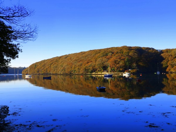 View from Budock Vean, a dog friendly hotel in Cornwall