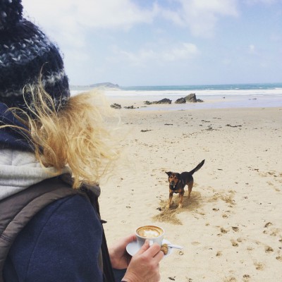 Dog playing on Lusty Glaze Beach in Cornwall