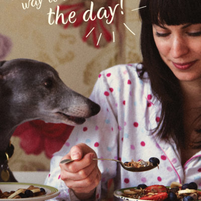 Lily's Kitchen natural food for dogs