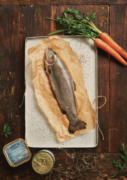 Lily's kitchen natural and nutritious dog food