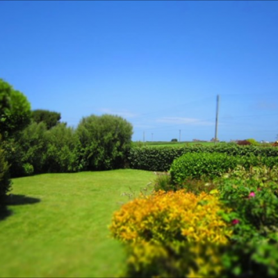 Sandylands garden, a dog friendly cottage in Cornwall
