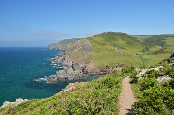 Toad Hall Cottages - Pawfect Stays