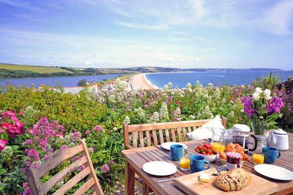 Toad Hall Cottages - Pawfect Stays