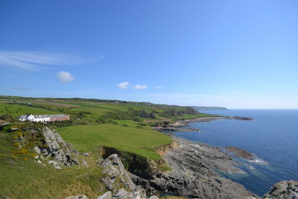 Toad Hall Cottages - Pawfect Stays