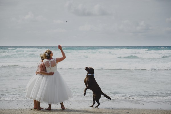 Dog friendly weddings at Lusty Glaze Beach in Newquay, Cornwall