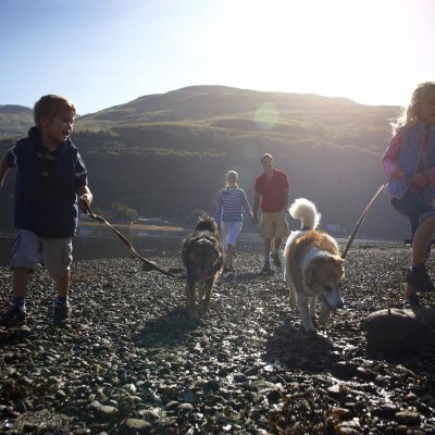 Family holidays at Deerpark in Cornwall