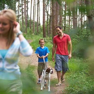 Dog friendly breaks with Forest Holidays
