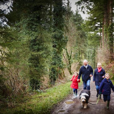 Dog friendly breaks with Forest Holidays