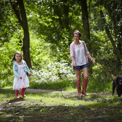 Dog friendly breaks with Forest Holidays