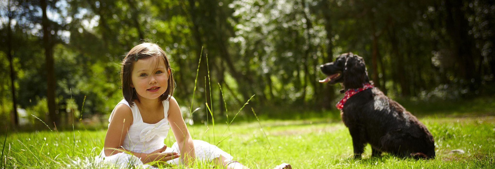 Dog friendly breaks with Forest Holidays