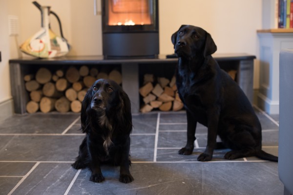 Dog friendly holidays with Boutique Retreats