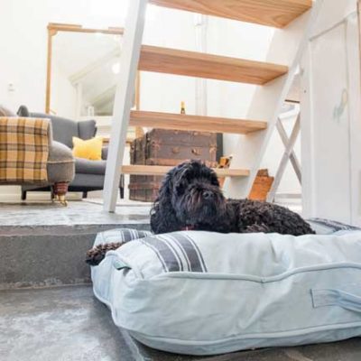 Little Waddons - a dog friendly cottage in Devon