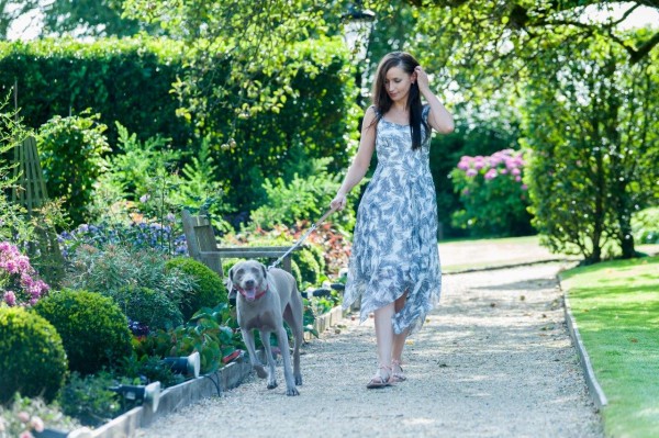 Summer Lodge, a dog friendly hotel in Dorset