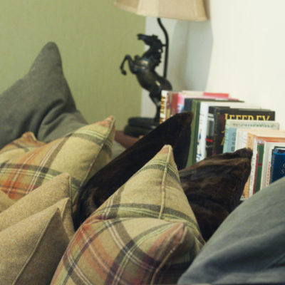 The Quantock Hide snug and library