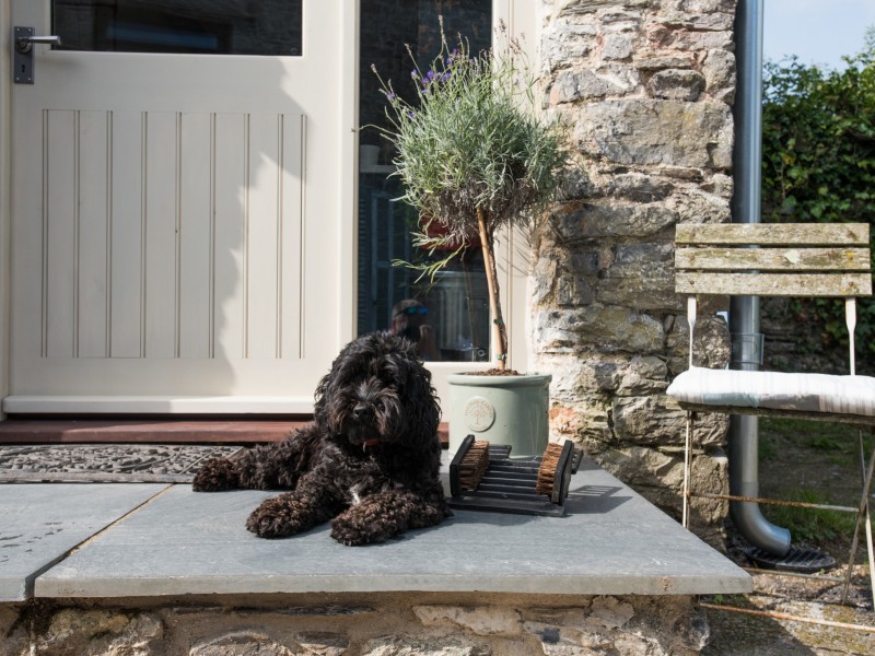 Dog friendly cottage in the Cotswolds