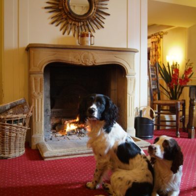 Dogs by the fire in the lounge at Arundel Arms, a dog friendly hotel in Devon