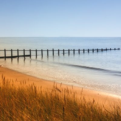 Dawlish Warren, a dog friendly beach in Devon | Pawfect Stays