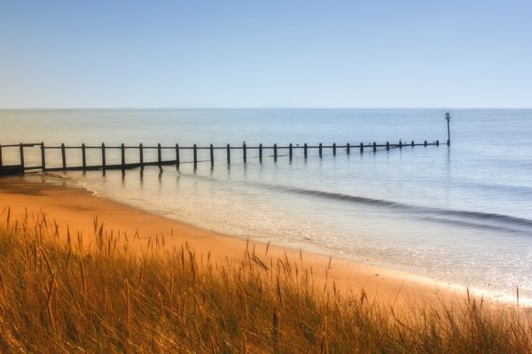 Dawlish Warren, a dog friendly beach in Devon | Pawfect Stays