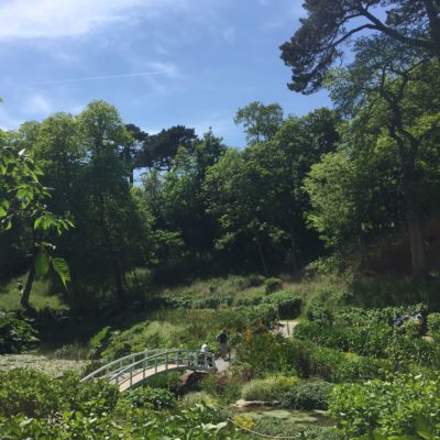 Trebah Garden, Conrwall