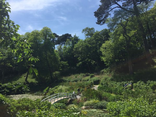Trebah Garden, Conrwall