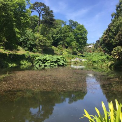 Trebah Garden, Cornwall