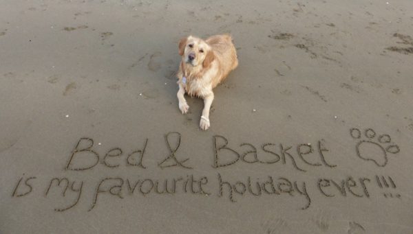 Bed & Basket - dog friendly self-catering in Cornwall