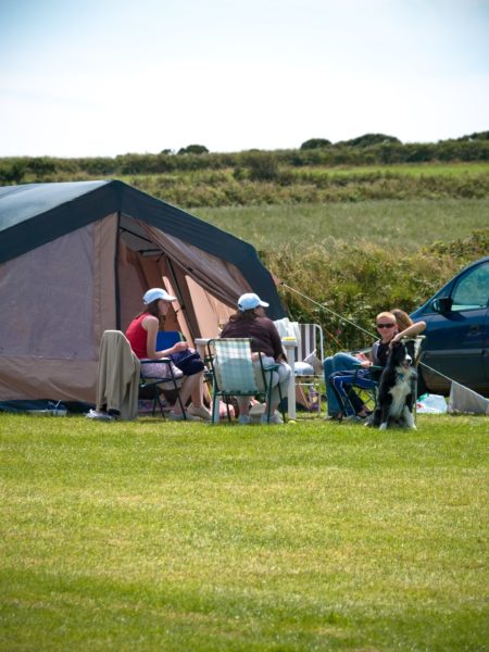 Lanyon Holiday Park in Cornwall