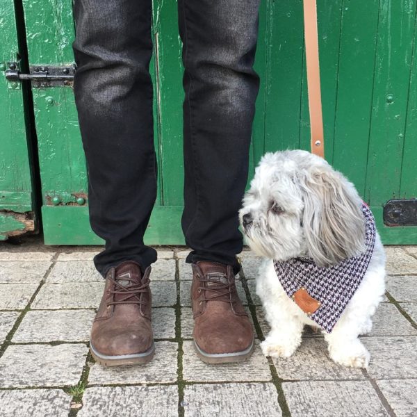 Luxury dog neckerchief handmade by The Distinguished Dog Company