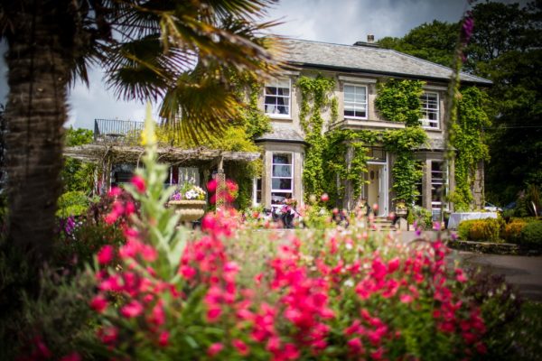 The Horn of Plenty - flowers at the front of the house