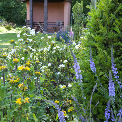 Flowers and hut at Hidden Valley Gardens