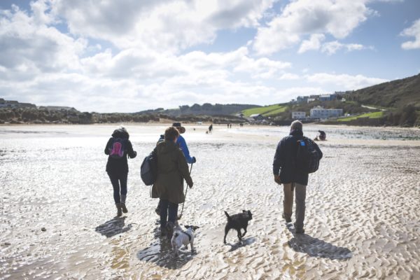 Family walking the dogs on the beach