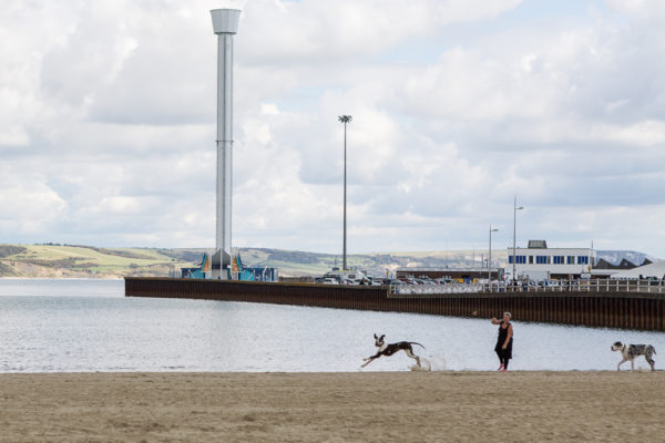 Dream Cottages -Dogs on beach -1001