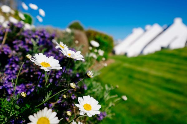 Highcliffe Holidays in Cornwall