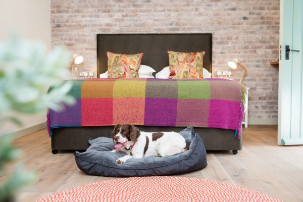 Dog friendly bedrooms at The Eastbury Hotel