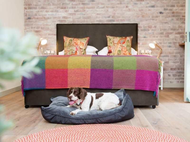 Dog friendly bedrooms at The Eastbury Hotel