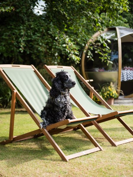 Dog sitting in a deck chair at The Eastbury Hotel